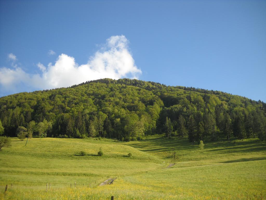 Farm Pri Flandru Villa Cerkno Kültér fotó