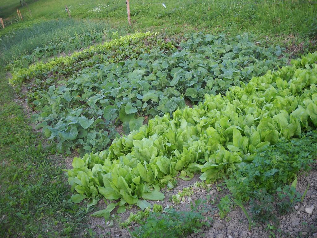 Farm Pri Flandru Villa Cerkno Kültér fotó