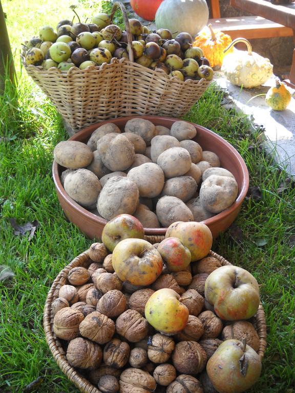 Farm Pri Flandru Villa Cerkno Kültér fotó