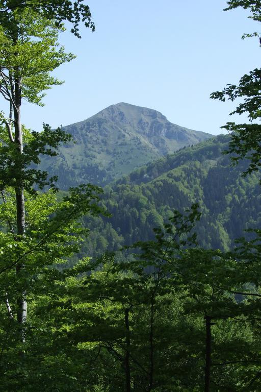 Farm Pri Flandru Villa Cerkno Kültér fotó