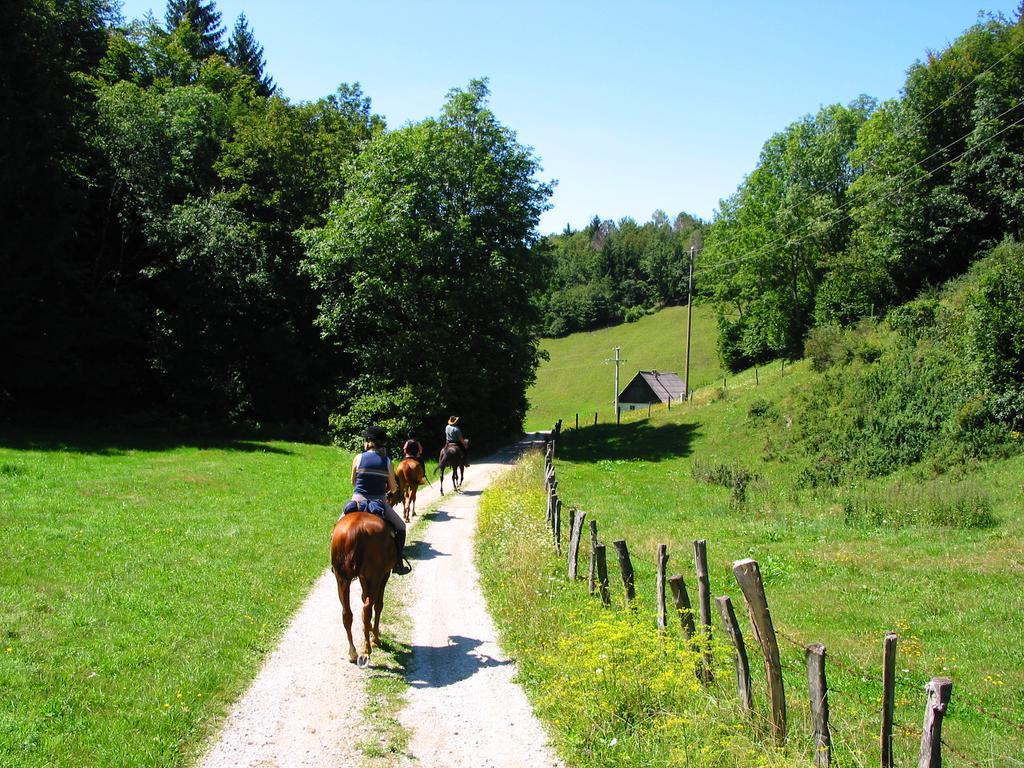 Farm Pri Flandru Villa Cerkno Kültér fotó