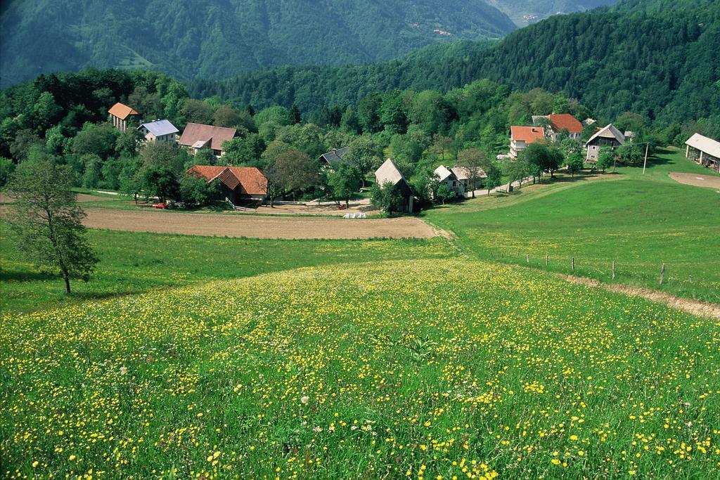 Farm Pri Flandru Villa Cerkno Kültér fotó